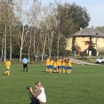 SK Benešov - FC Viktoria Plzeň B 3:2 (2:2)