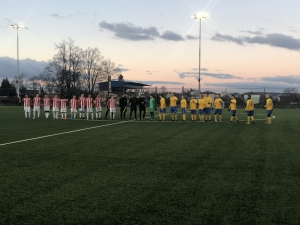 SK Benešov : FK Viktoria Žižkov 1:3 (1:1)