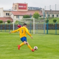 Letní liga: SK Benešov - FC Písek