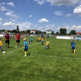 Ondrášovka Cup finále U8 Benešov